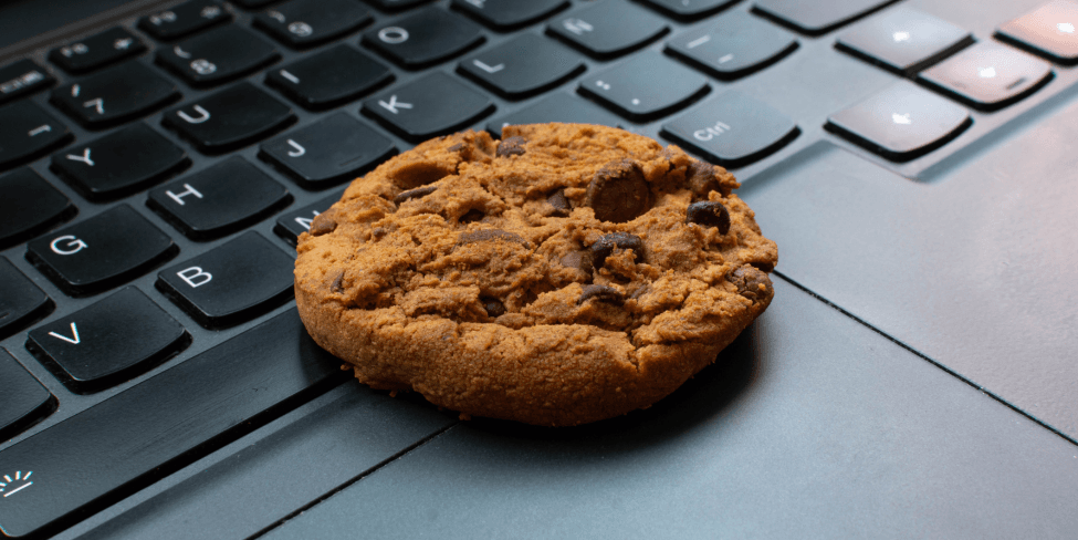 Data Protection Authority (AP) fights against misleading cookie banners in 2024