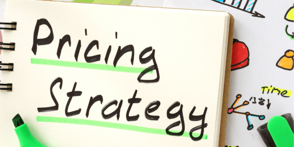 The Underrated Power of Price in Marketing: A New Research Perspective