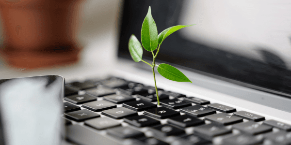 How authentic sustainability communication determines the success of brands