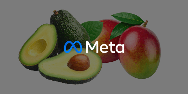 Meta bouwt aan geavanceerde AI-modellen voor beeld en video